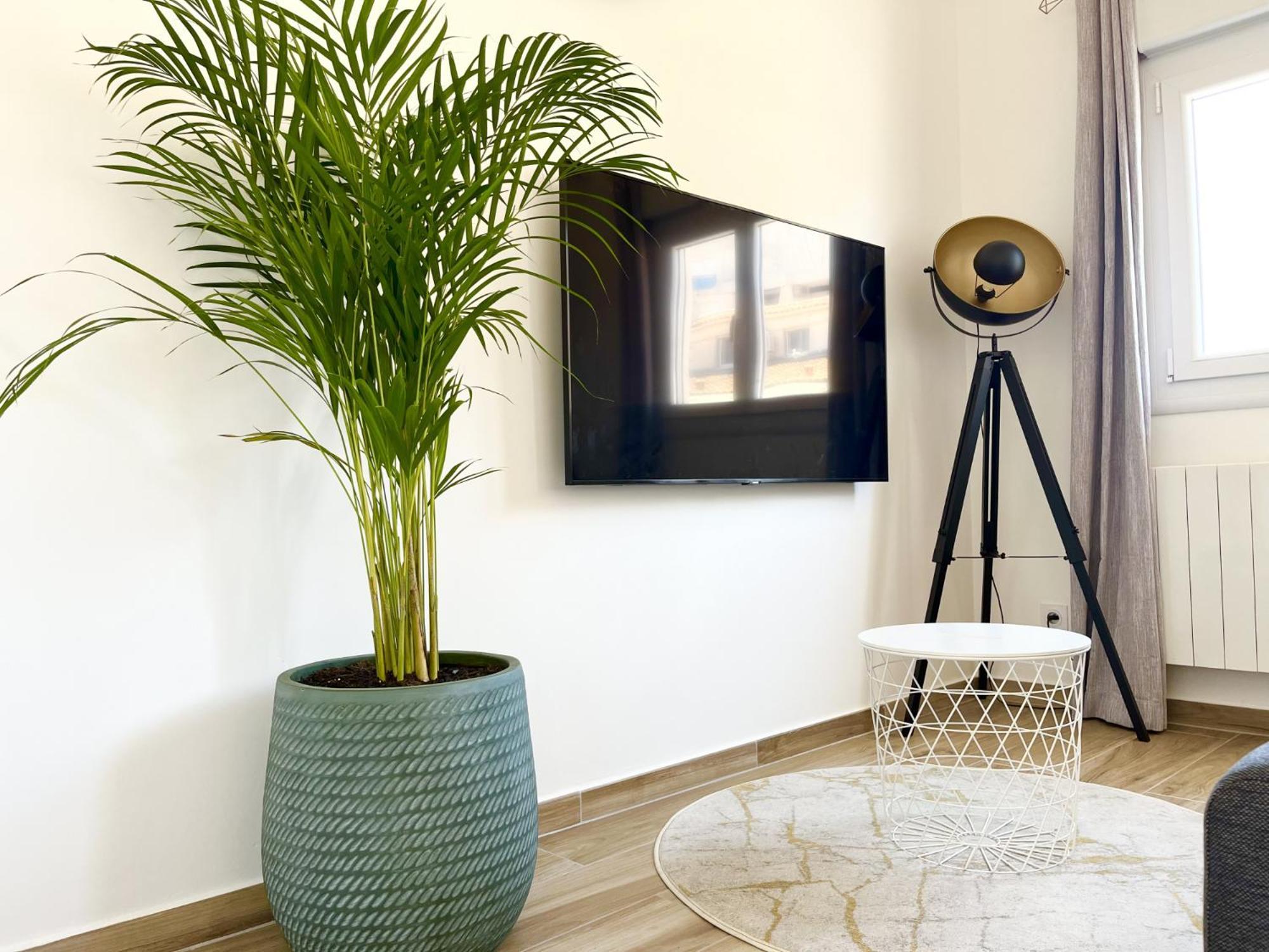 Duplex Centre Ville - 50M De La Plage - Clim - Garage - Netflix Le Grau-du-Roi Habitación foto